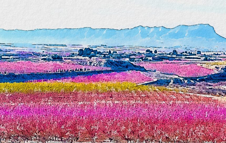 Camino de Santiago del Sureste, etapa 6 de Cieza a Jumilla atravesando campos de viñedos y almendros.