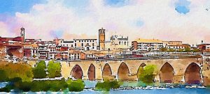 Camino de Santiago del Sureste, etapa 29 de Tordesillas a Mota del Marqués entre viñedos y campos de cereal.